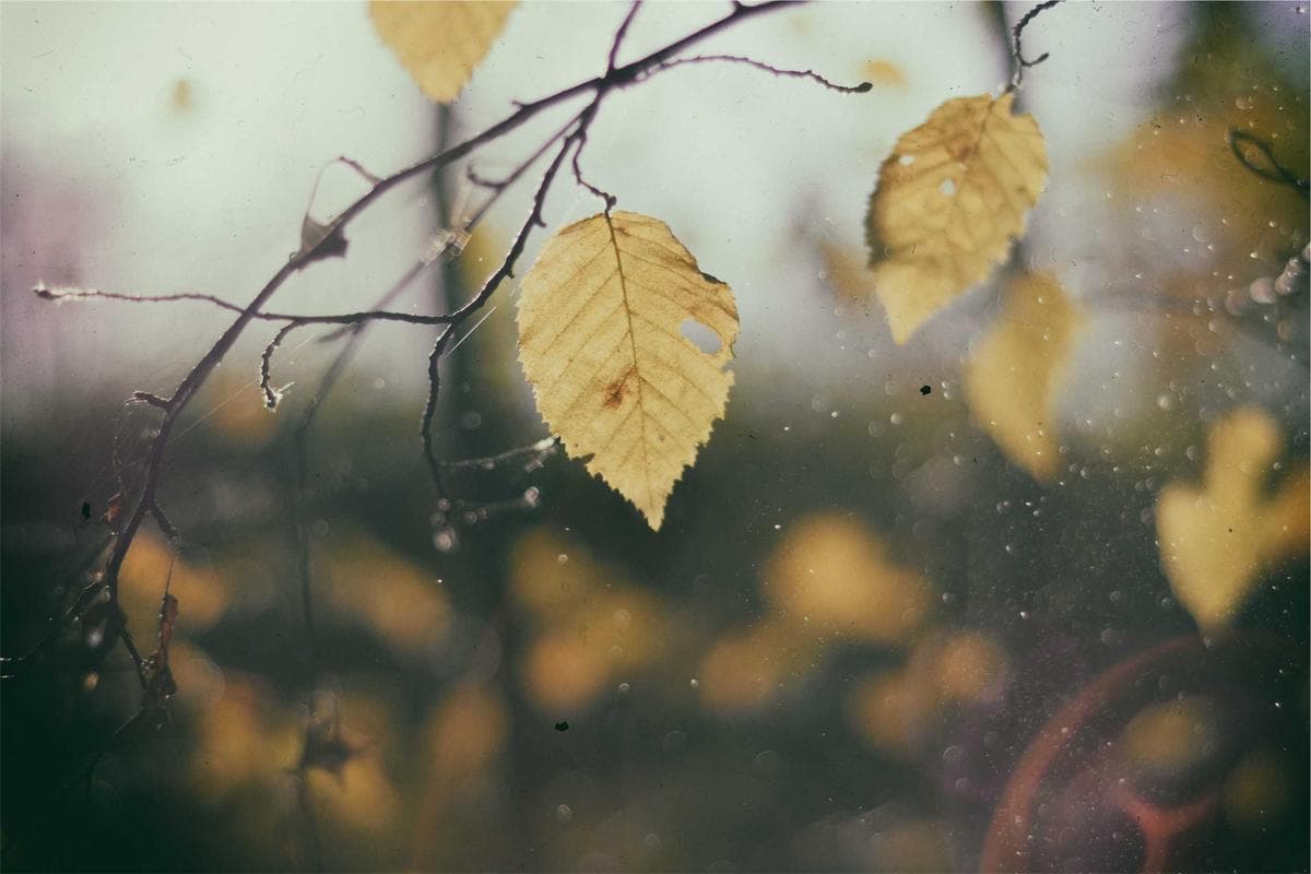 TypeScript in Practice: Designing APIs that remain easy to change for long-lived repositories