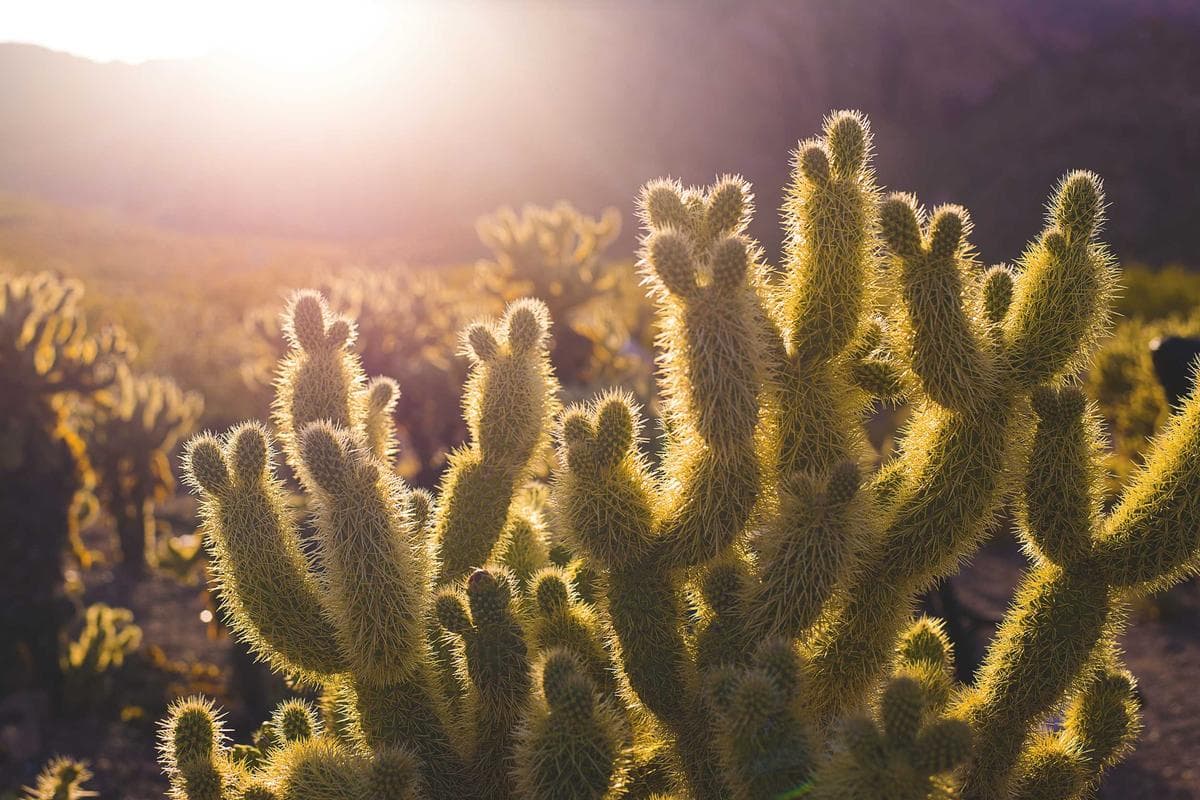 Next.js in Practice: Creating developer-friendly error messages for teams that value clarity