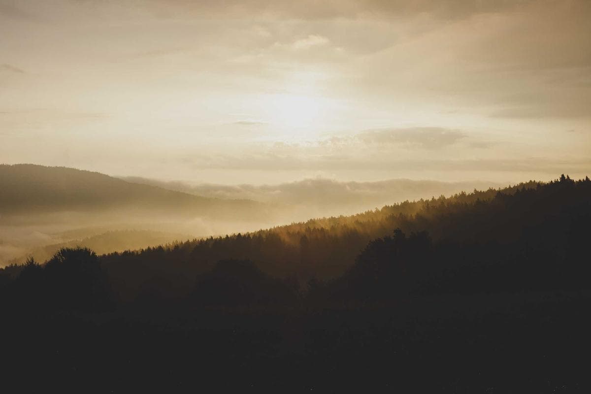 Vue.js in Practice: Designing APIs that remain easy to change through small reversible changes