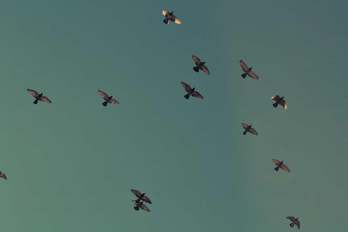 Laravel in Practice: Testing the boundaries that matter for the next maintainer